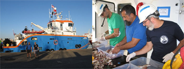 The MCR-IOE proudly join the multinational team to survey fishery resources in Lebanon